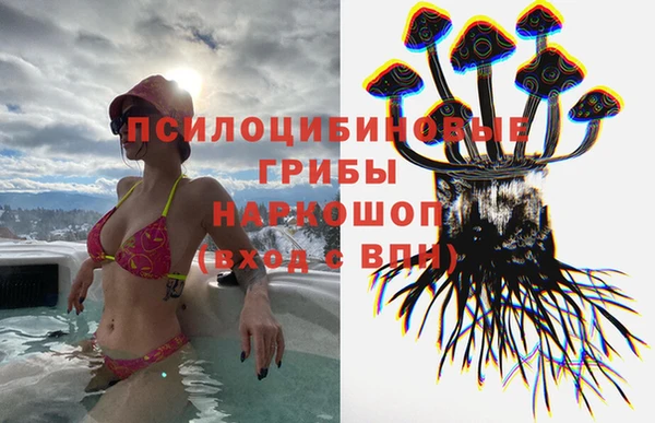 крисы Армянск
