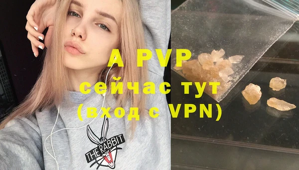 крисы Армянск