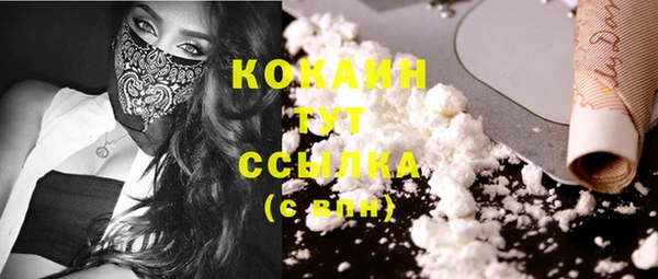 крисы Армянск